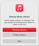 screenshot of music library select window